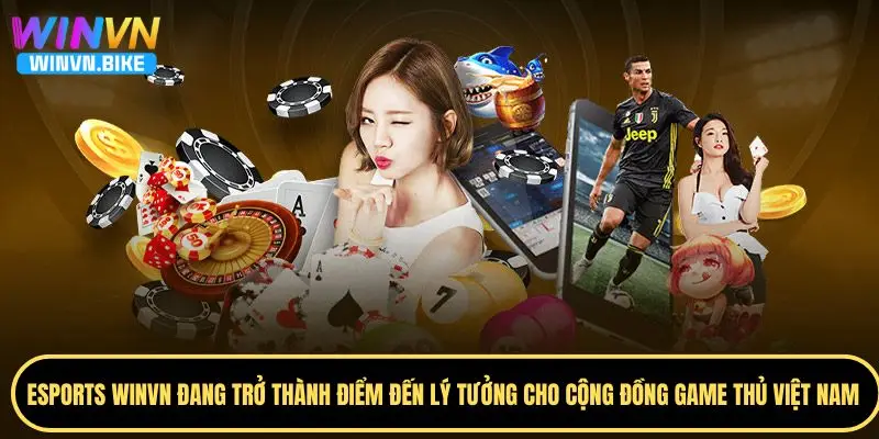 Esports WINVN - Nền Tảng Thể Thao Điện Tử Hàng Đầu Châu Á 1 Giới thiệu về esports WINVN